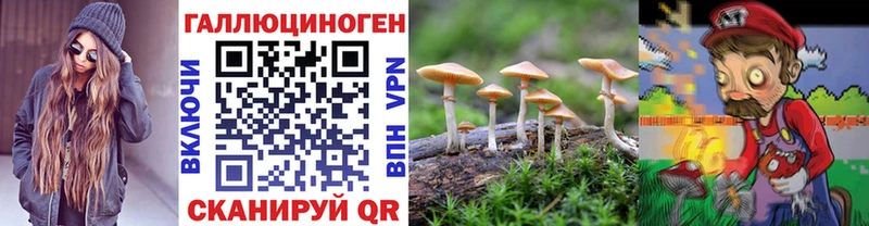 купить  сайты  Спас-Деменск  Псилоцибиновые грибы мухоморы 